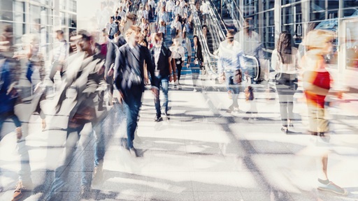 Diversiteit en Inclusie