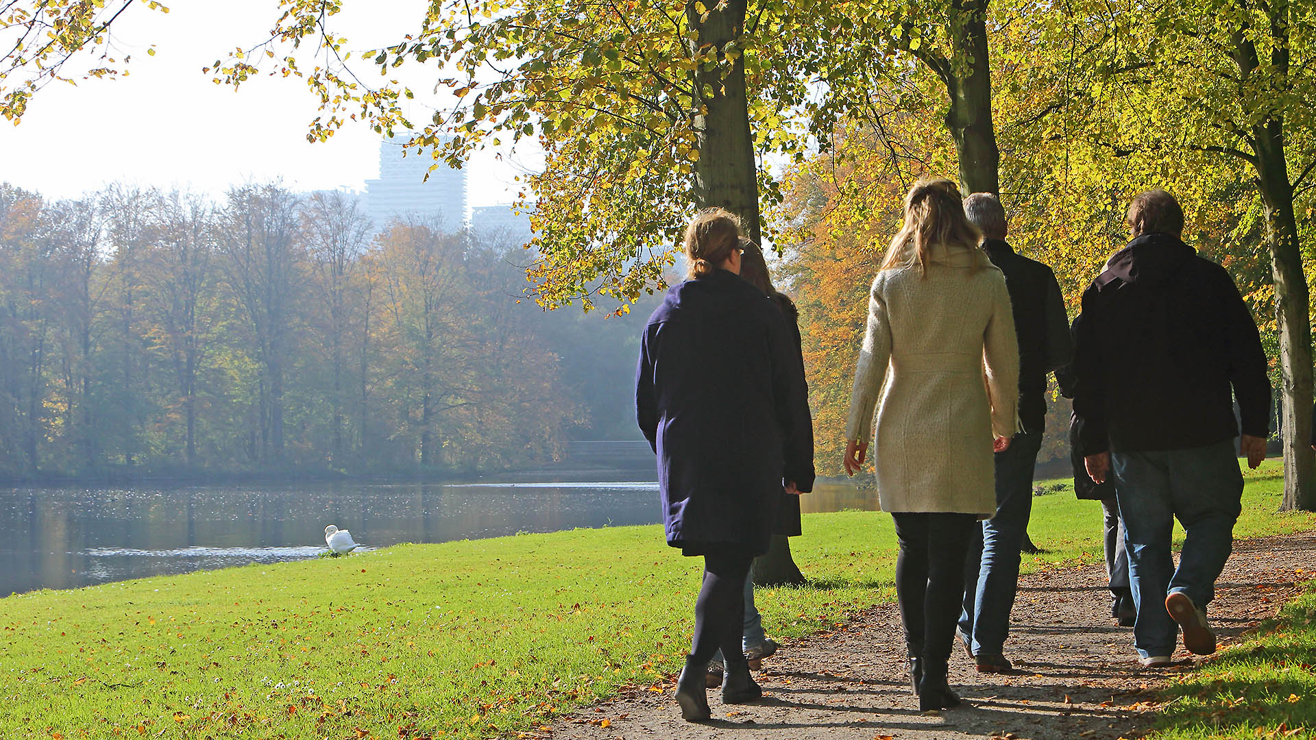 Lunchwandeling in het Haagse Bos.