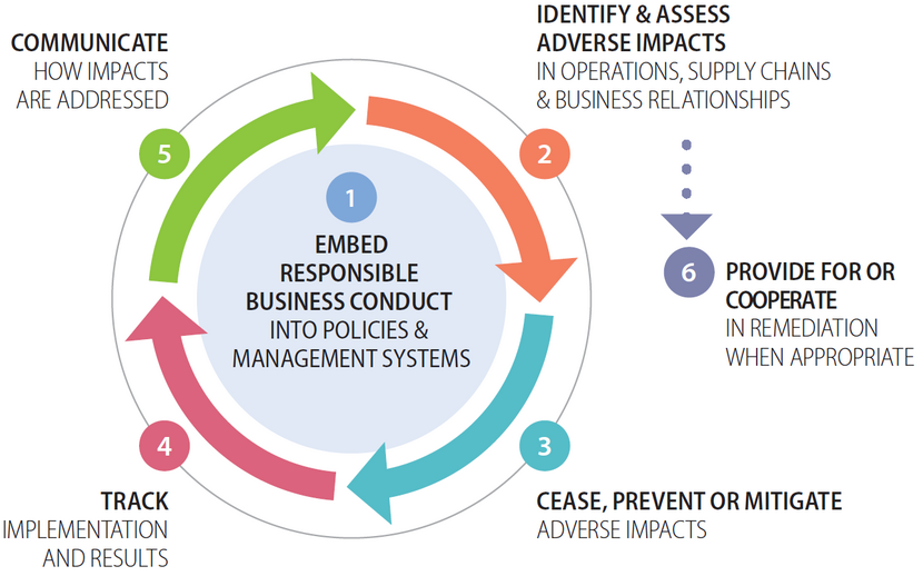 Due diligence process (Source: OECD)
