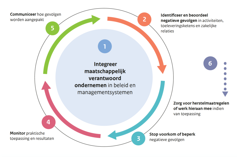Gepaste zorgvuldigheidsproces (Bron: OESO)