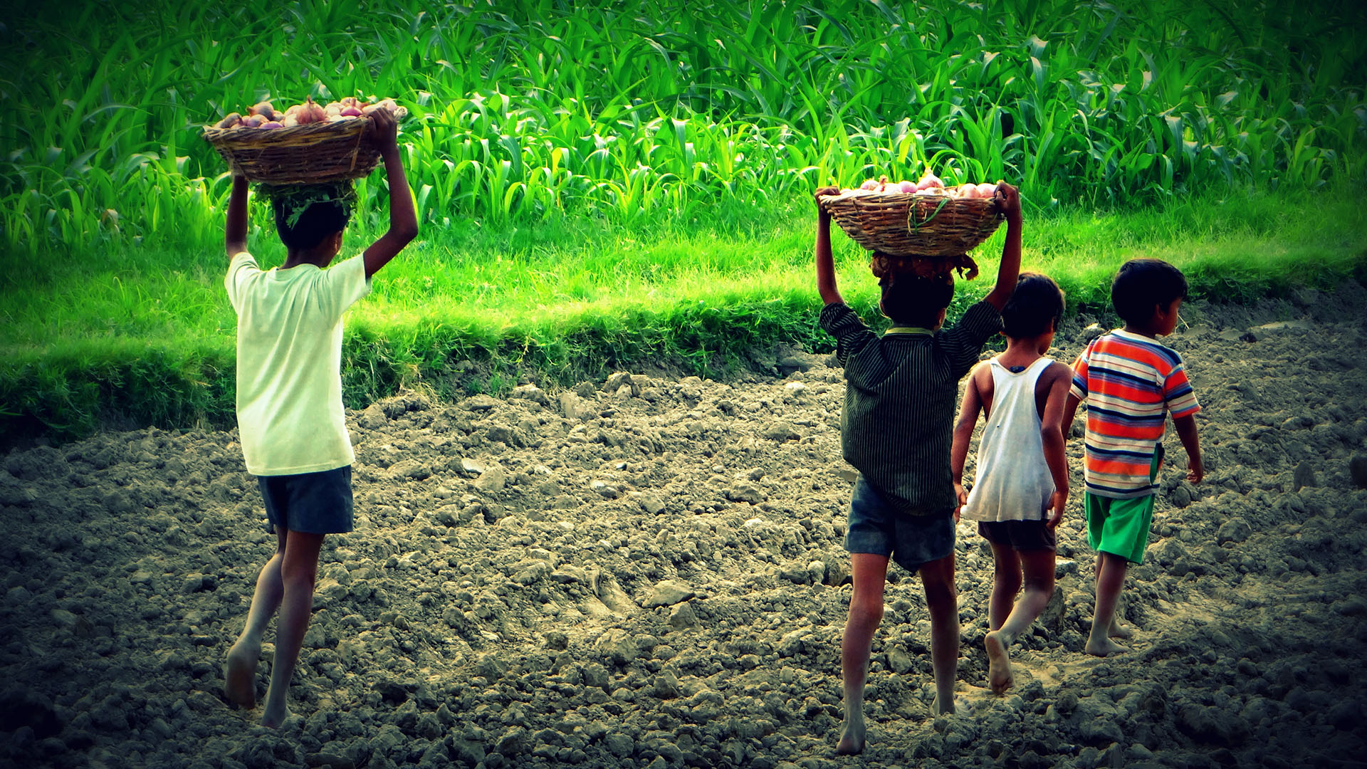 Kinderarbeid Indiase boerderijen