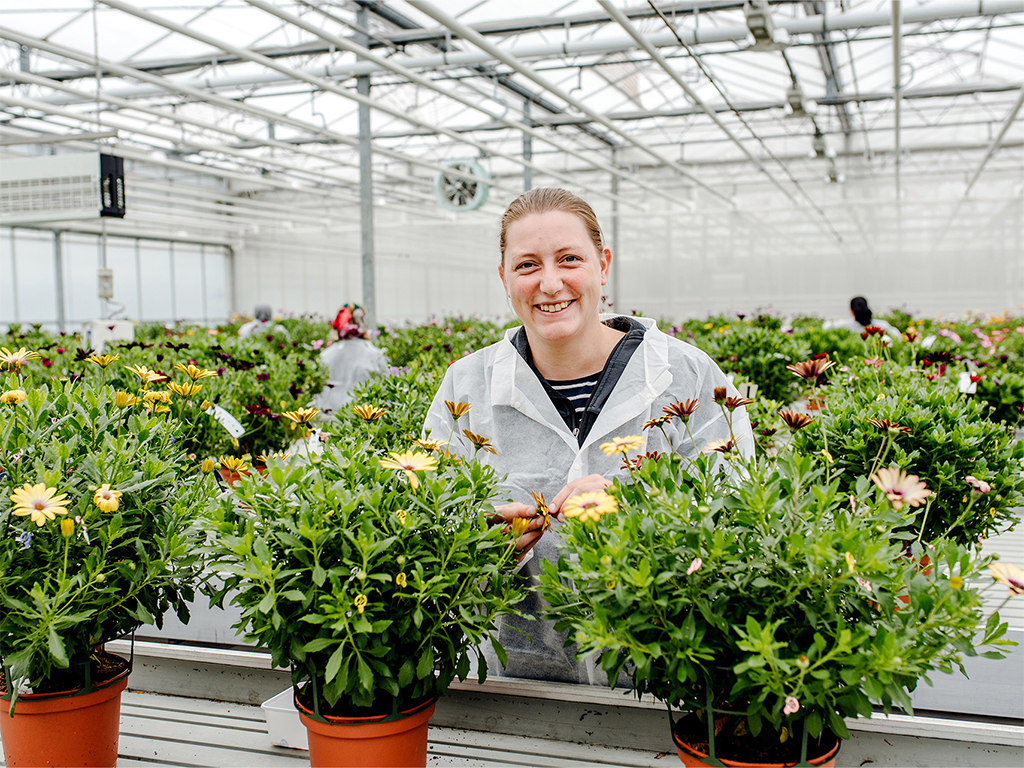 Vrouw in plantenkwekerij aan het werk